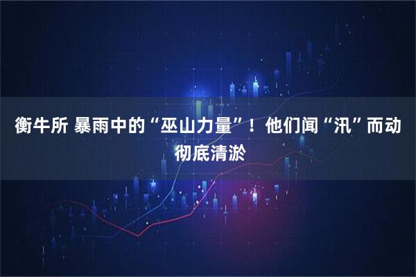 衡牛所 暴雨中的“巫山力量”！他们闻“汛”而动 彻底清淤
