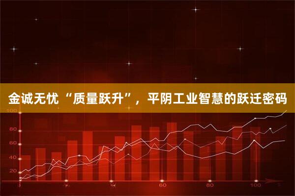 金诚无忧 “质量跃升”，平阴工业智慧的跃迁密码