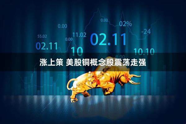 涨上策 美股铜概念股震荡走强